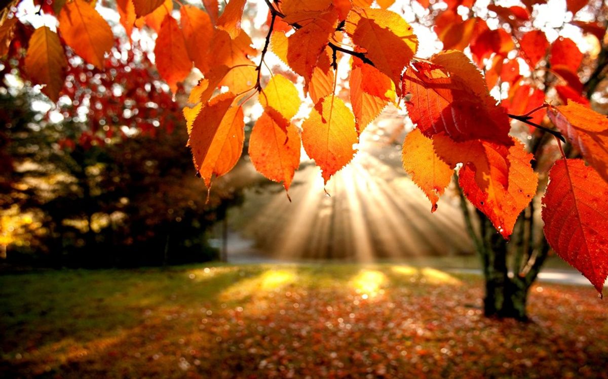 11 Reasons I Love the Season of Autumn