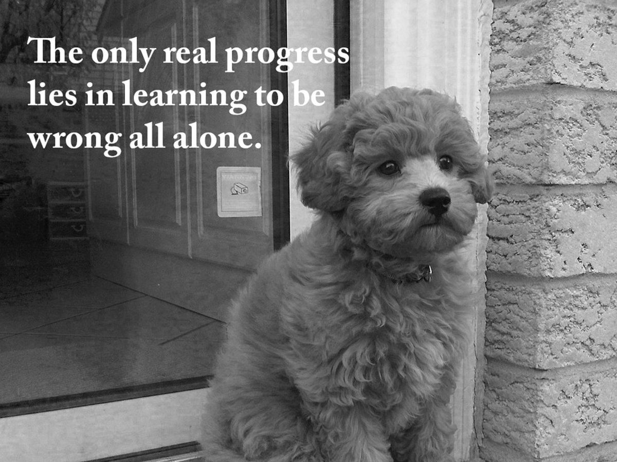 7 Albert Camus Quotes Illustrated by Pictures of Puppies