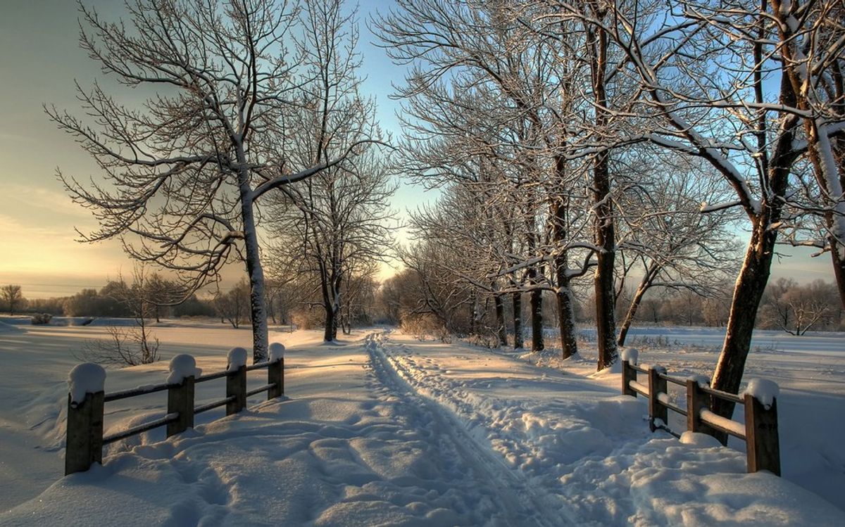 A Winter Memory In The Country