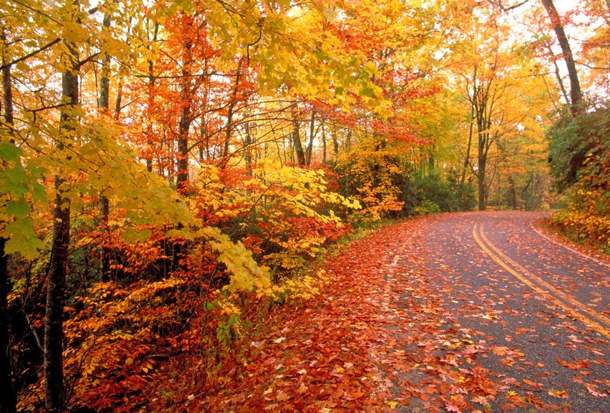 Why Fall Is The Best Season For Moments