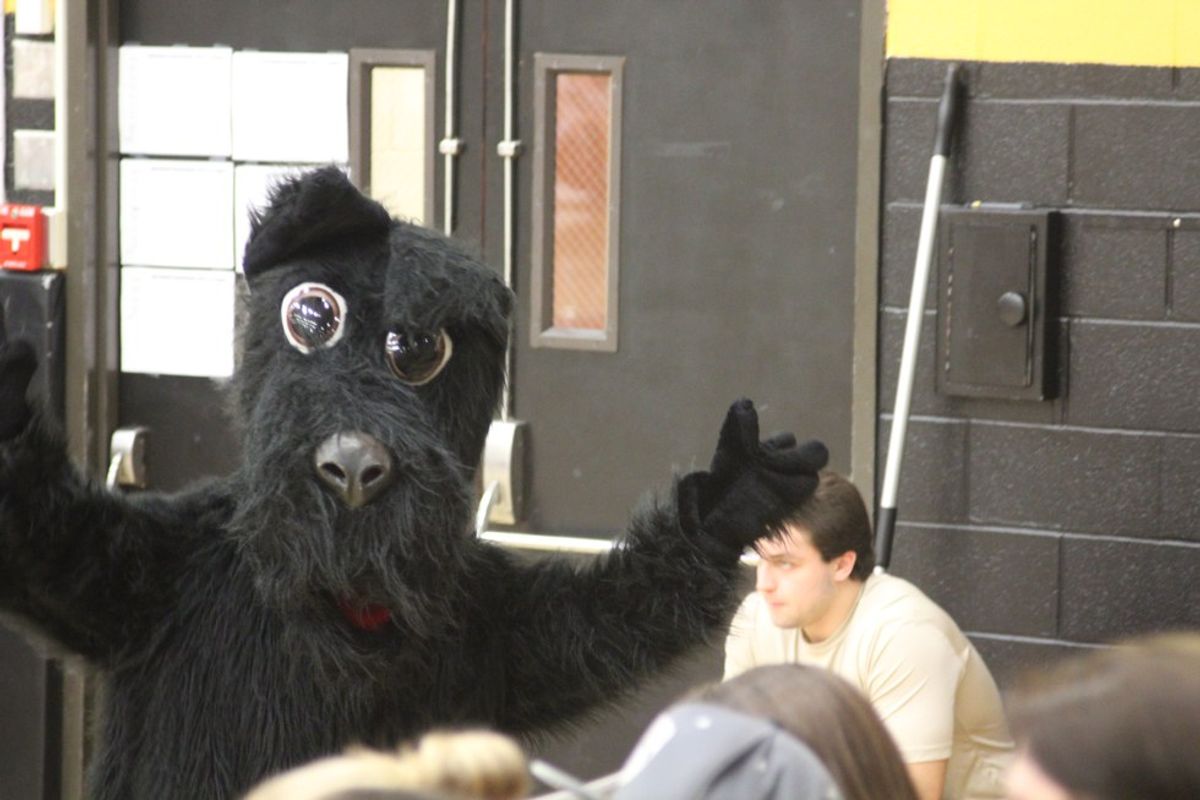 5 Things I Learned As The School Mascot