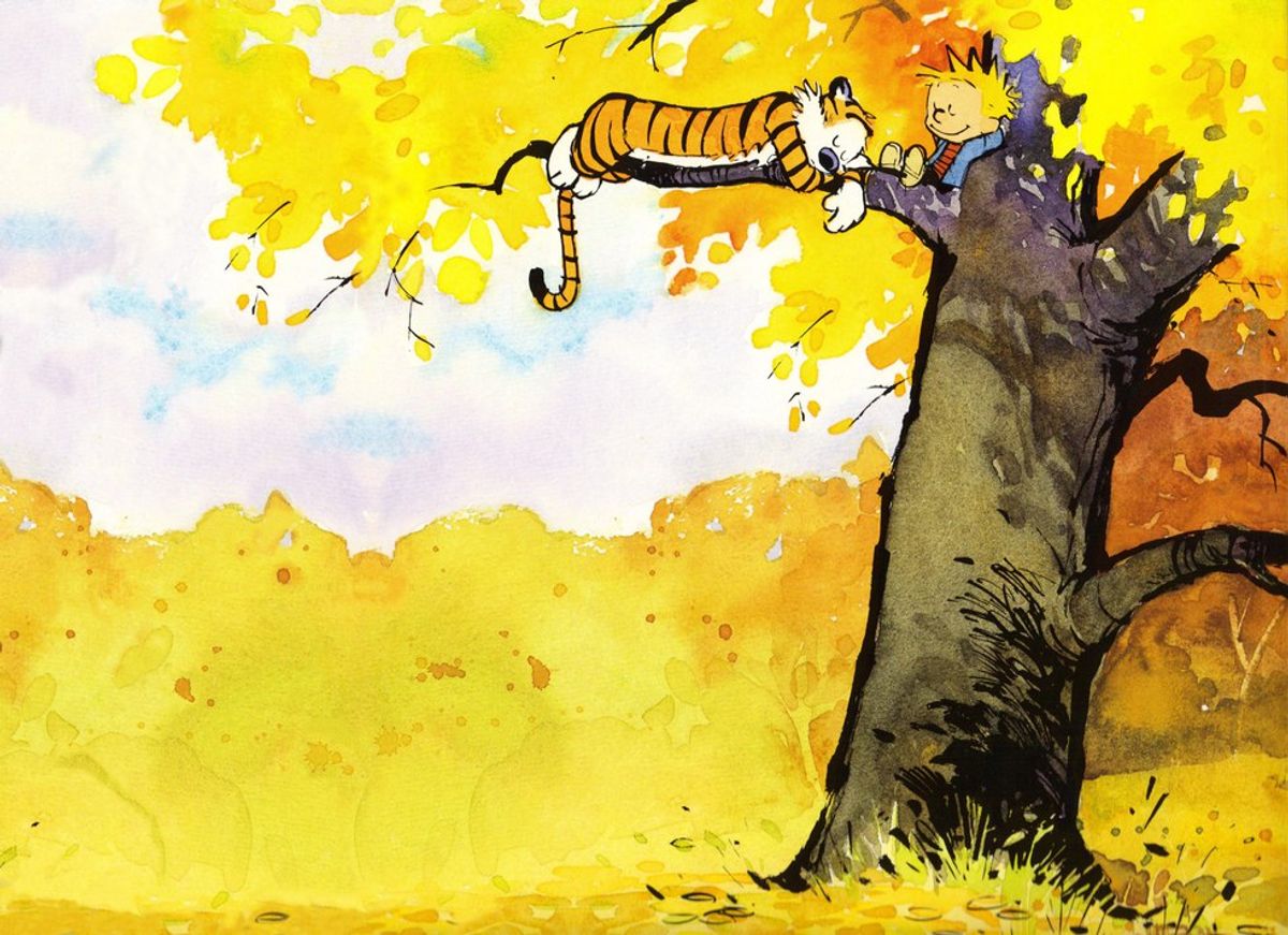 The 10 Best Calvin and Hobbes Comic Strip Themes