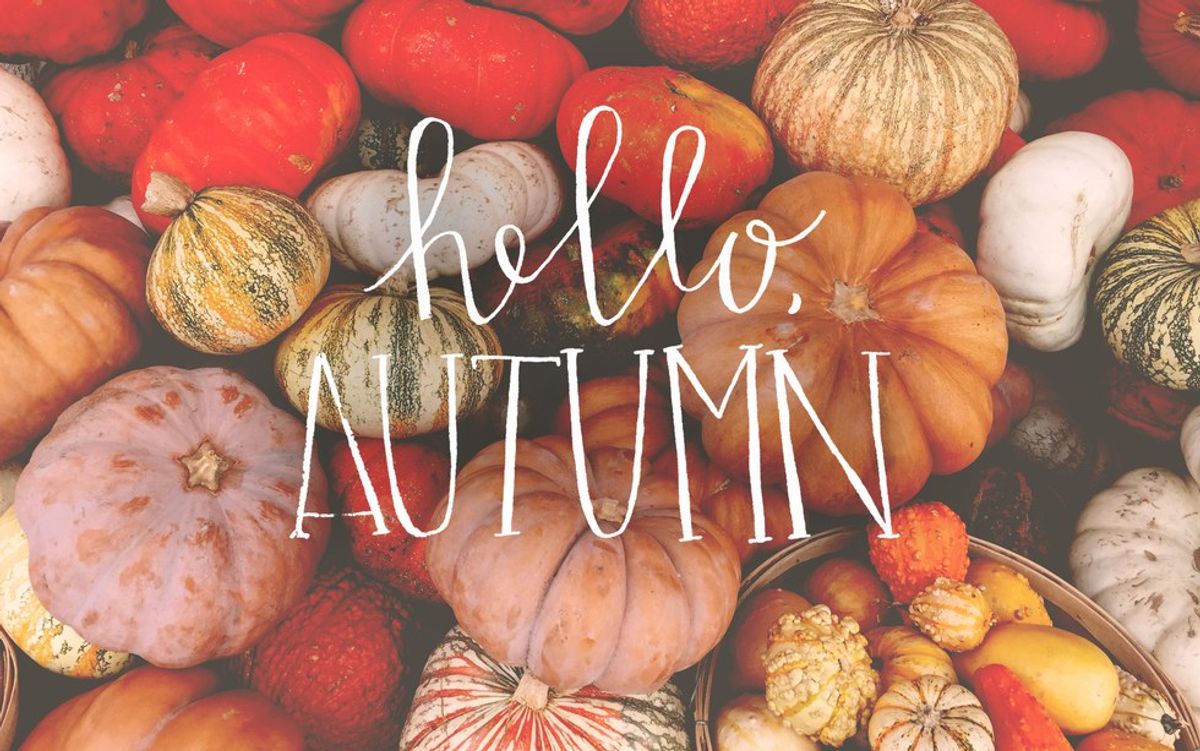 10 Things To Get Excited About For Fall Other Than The PSL
