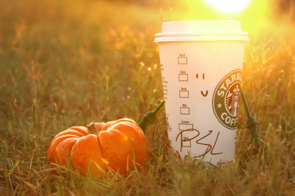 The Countdown to Pumpkin Spice and Everything Fall