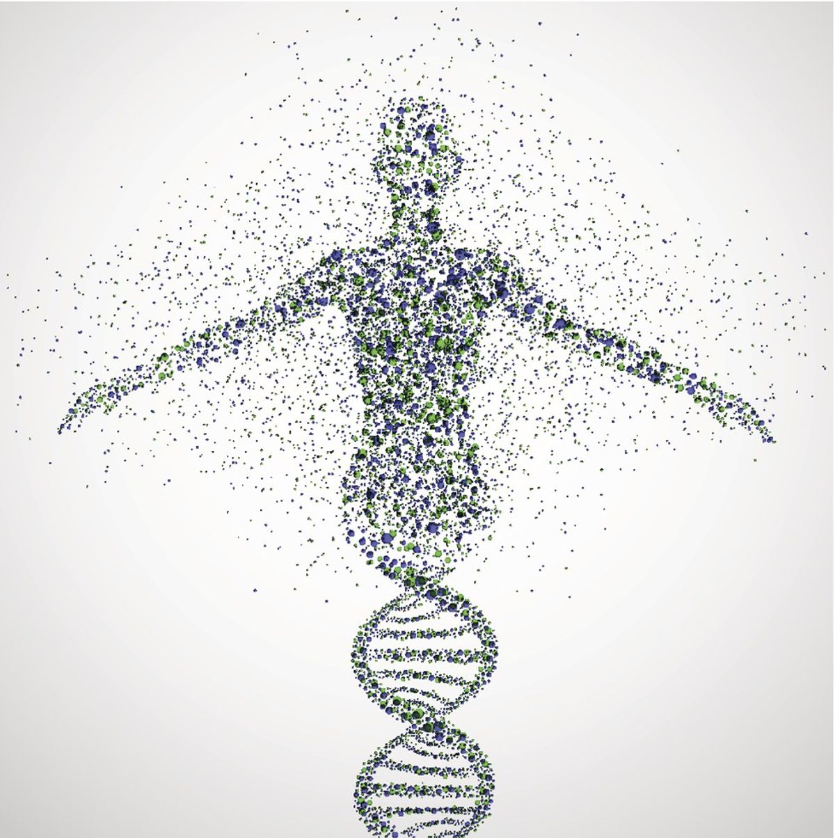 What Is The Human Genome Project?