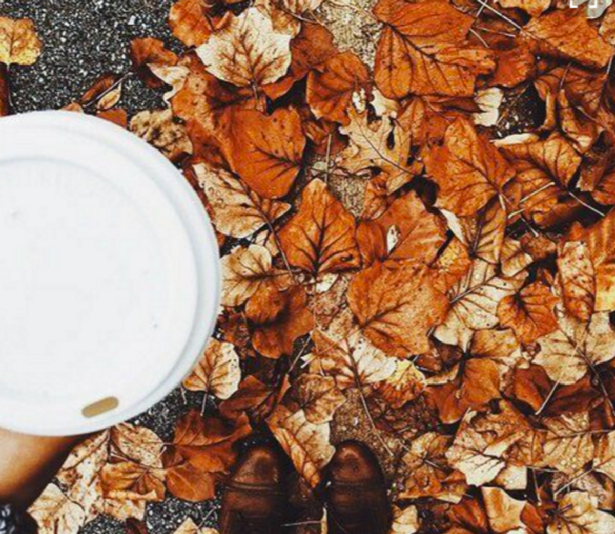 13 Signs That Fall Is Right Around The Corner