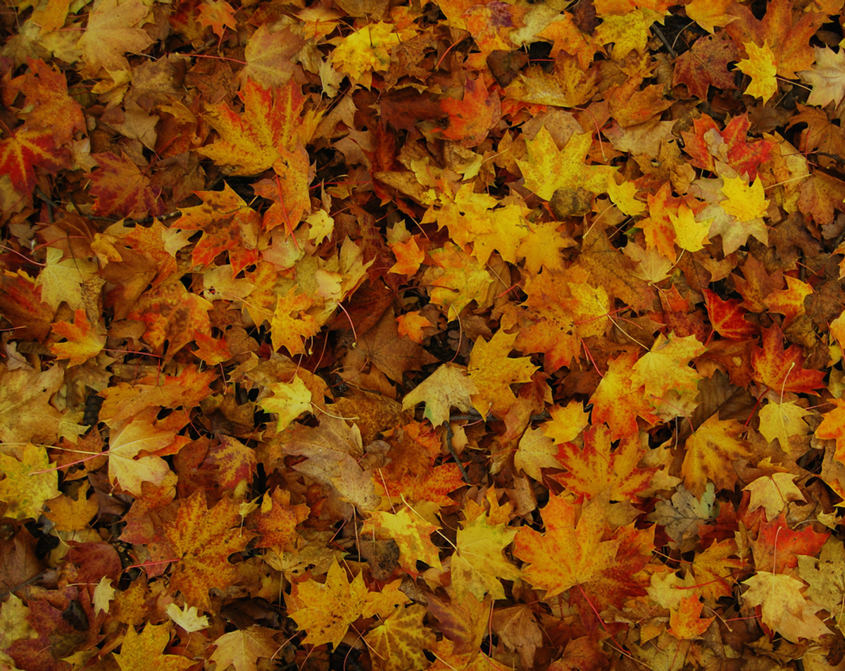 15 Things To Love About Fall
