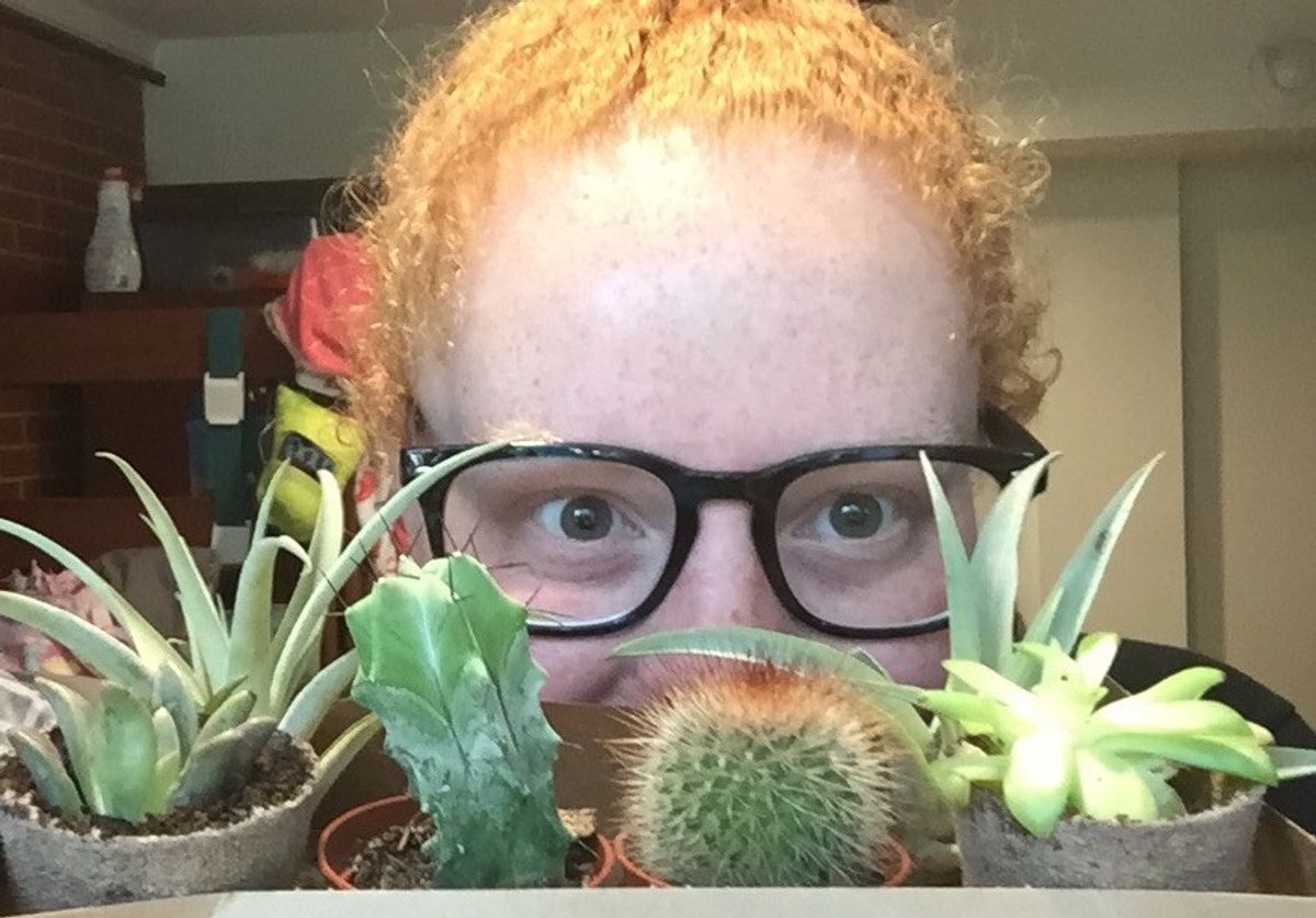 3 Reasons Why You Need A Succulent
