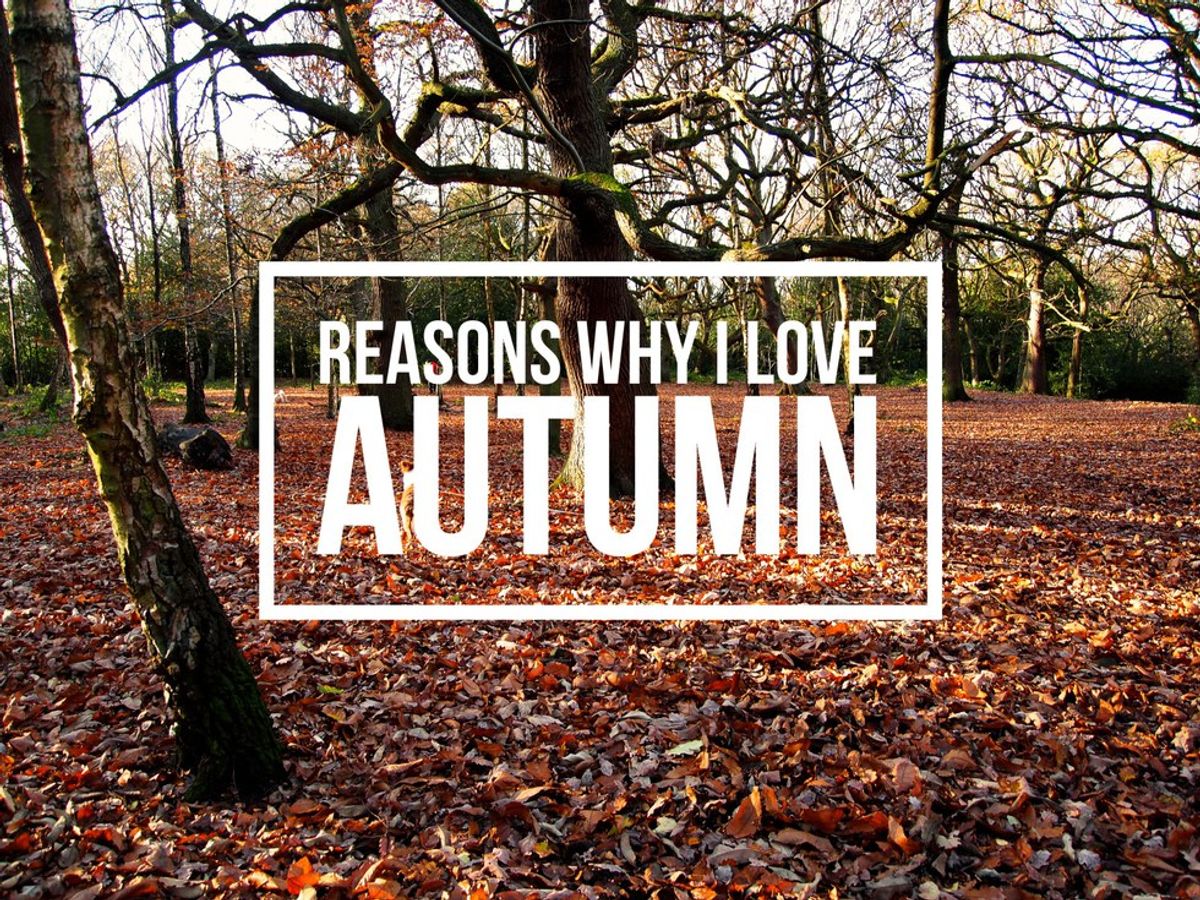 25 Reasons To Look Forward to Autumn