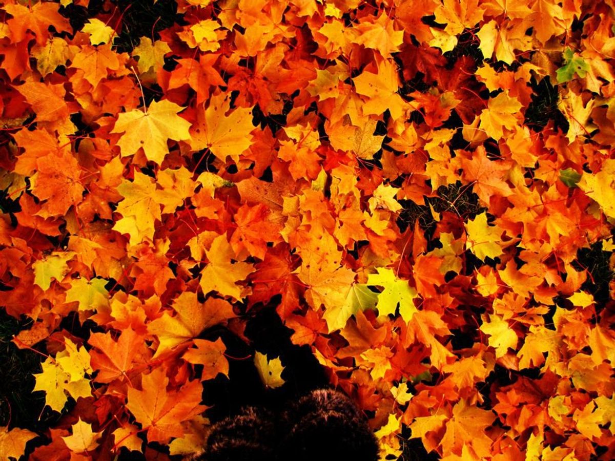 5 Things To Love About Autumn