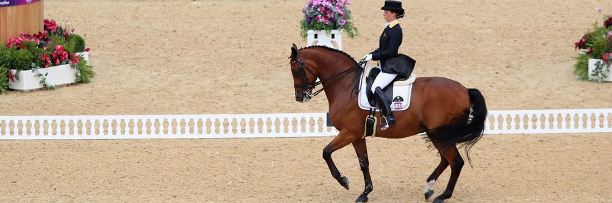 Entering The Arena: My First Experience With Equestrian Sports