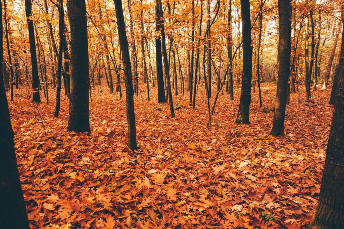 Why Fall is the Best Season