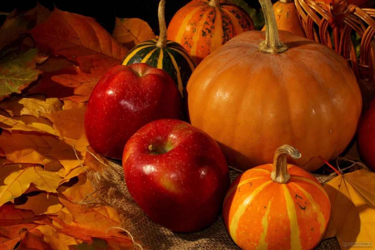 Apple Vs Pumpkin: A War Of Fall Flavors