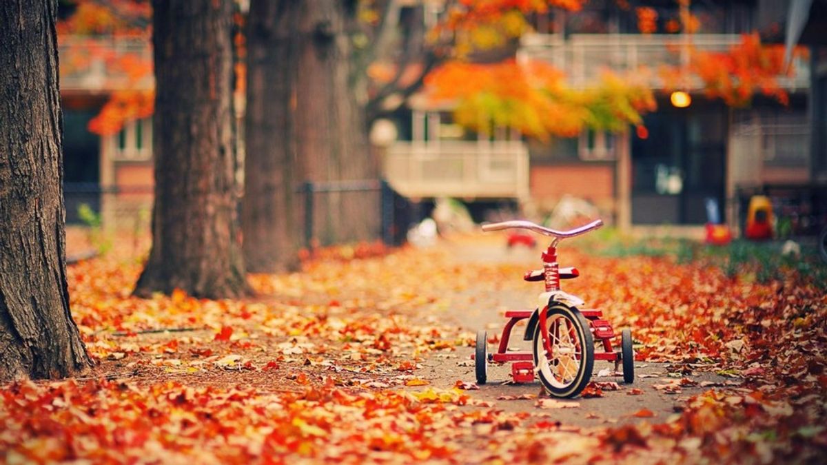The Nine Best Things About Fall