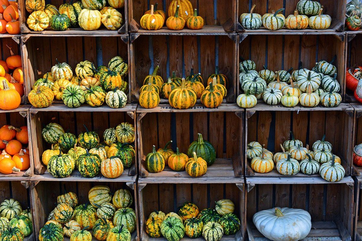 11 Reasons Why Fall Is The Best Season Ever