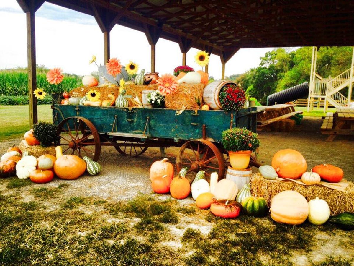 5 Places All East-Tennesseans Need to be on Saturdays This Fall