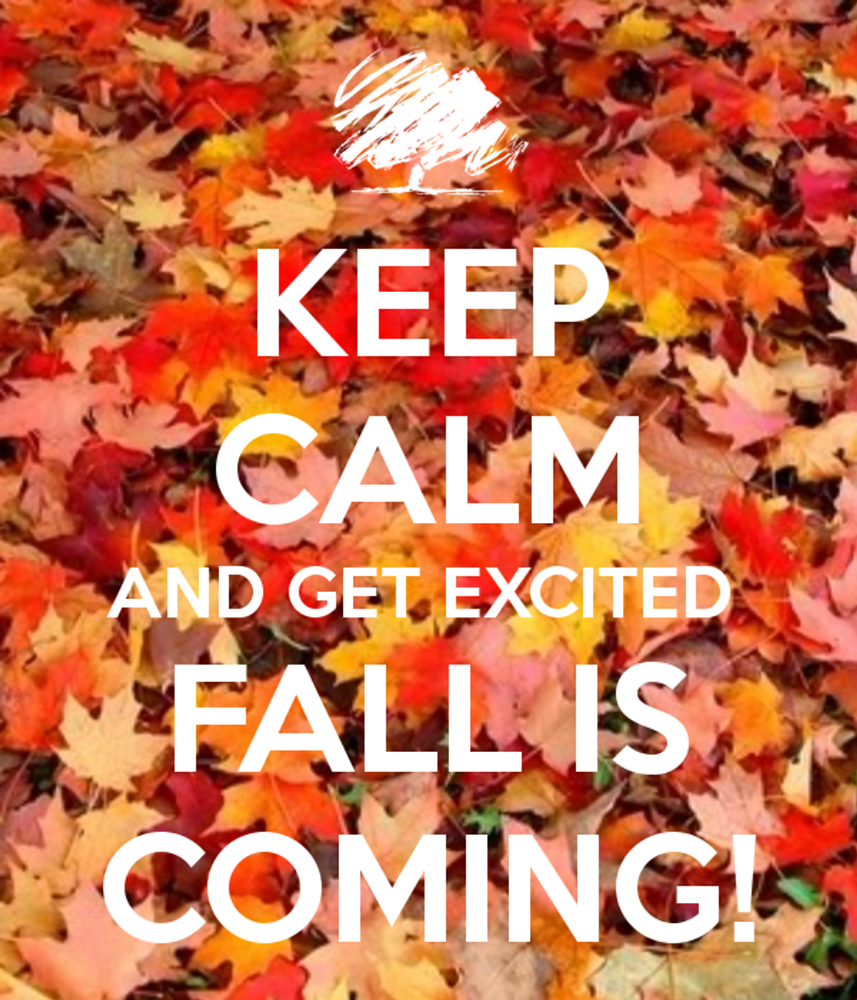 It's Almost Fall, Y'all!!!