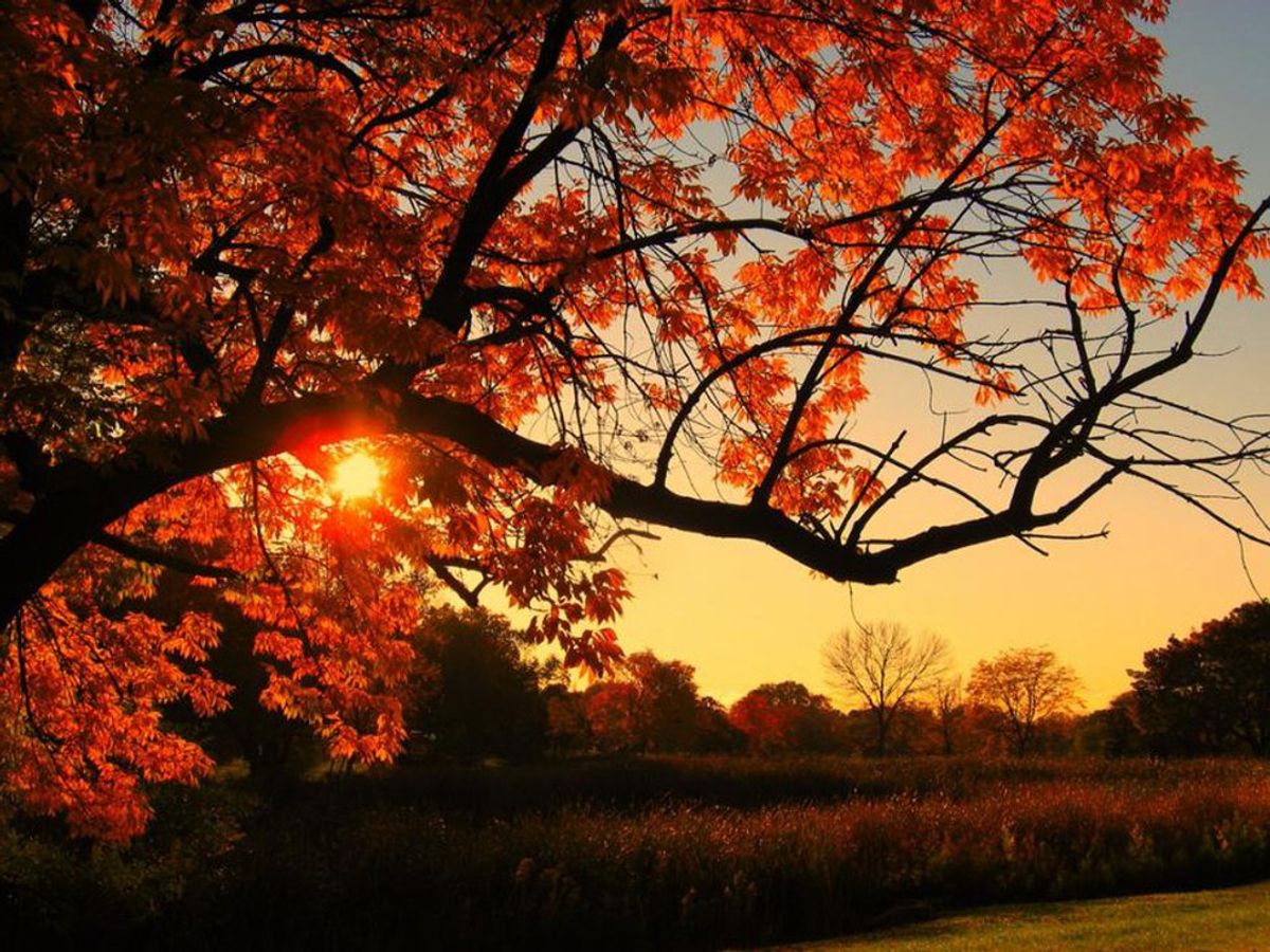 12 Reasons Why Fall Is A Great Time To Be In Texas