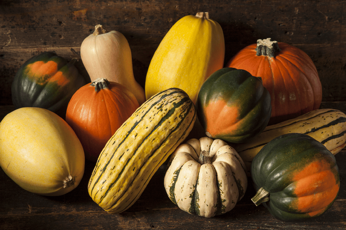 4 Types Of Squash You Need In Your Life ASAP