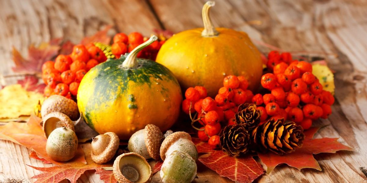 10 Things To Love About Fall