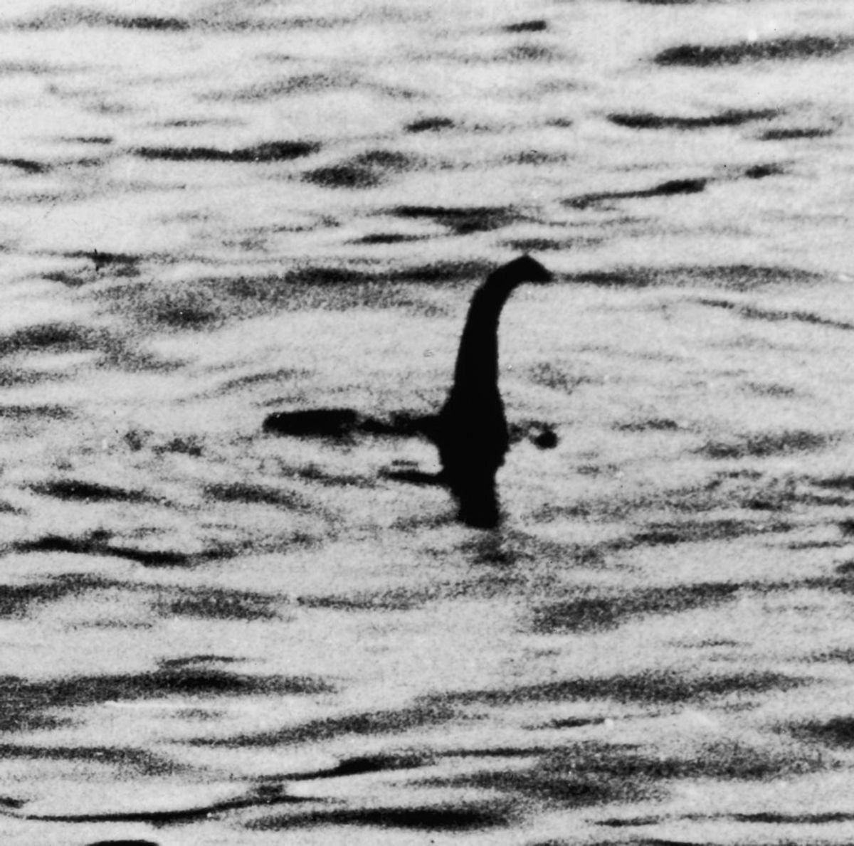 The Loch Ness Monster Finally Found?