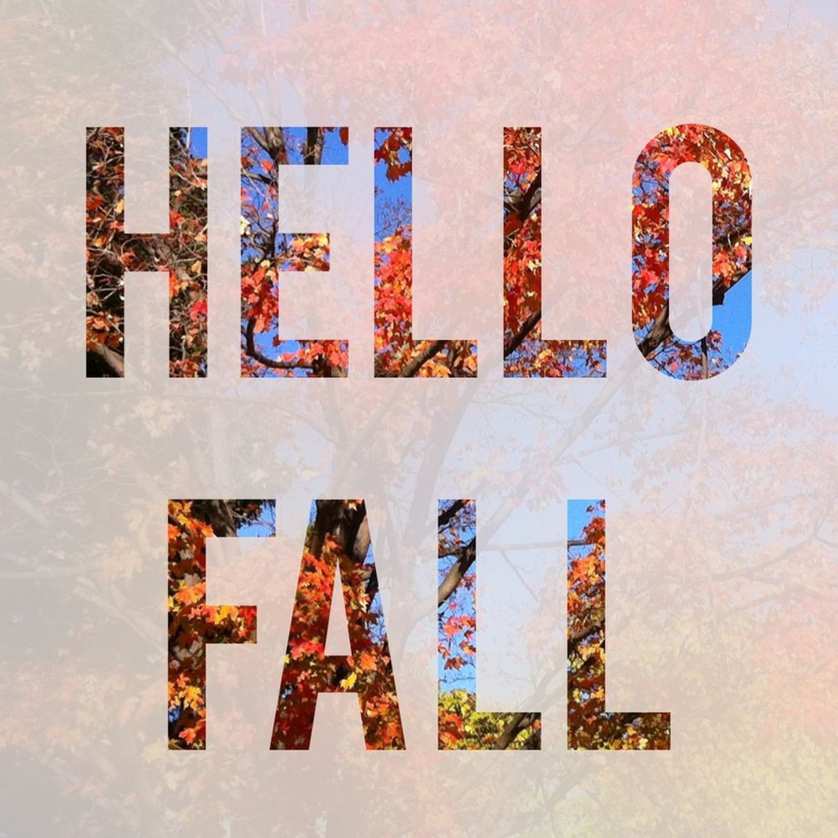 Why I Love Fall