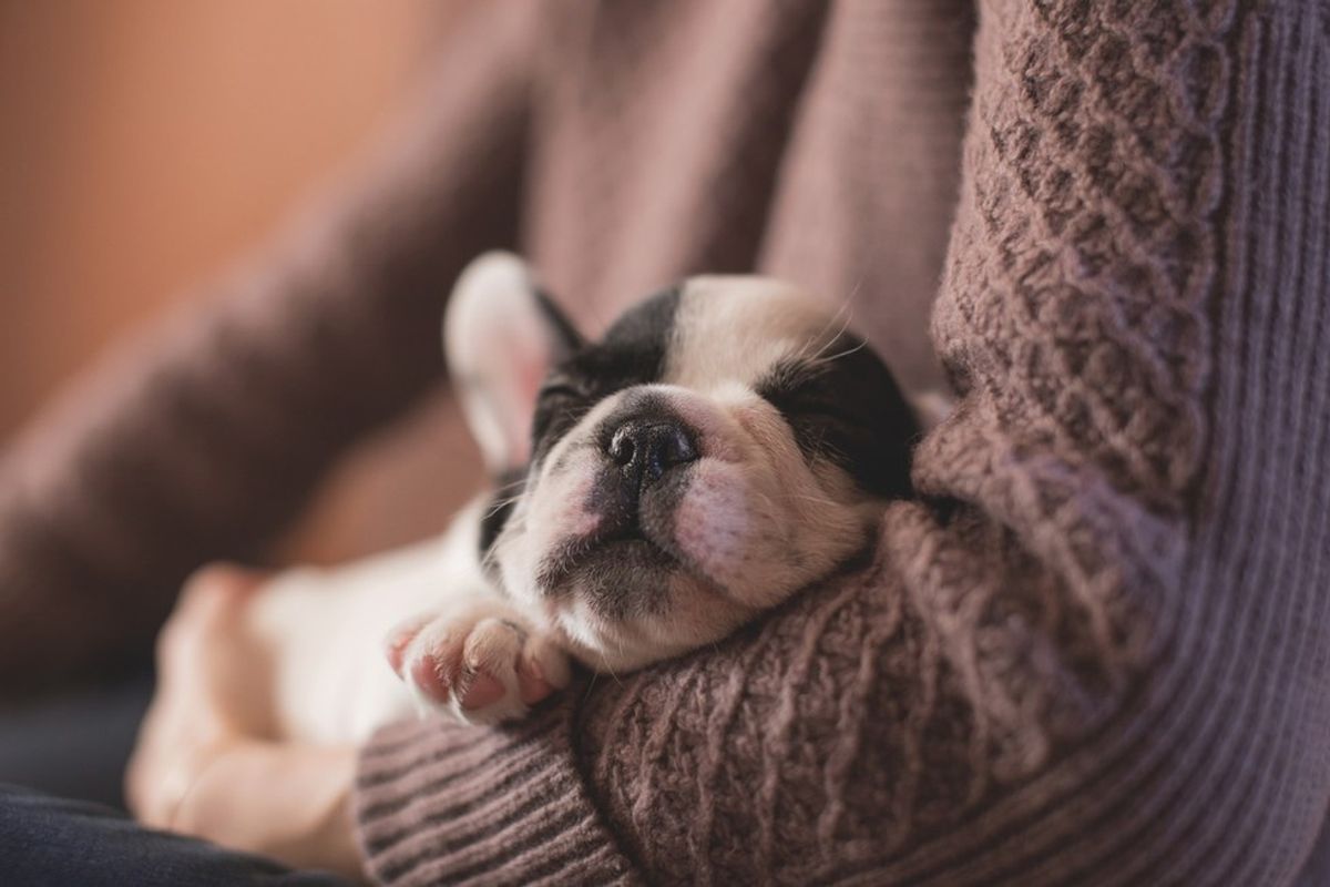 14 Things You'll Only Understand If You Love Sleep