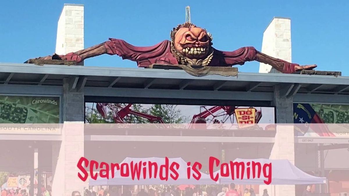 69 Things You Can Only Say At SCarowinds
