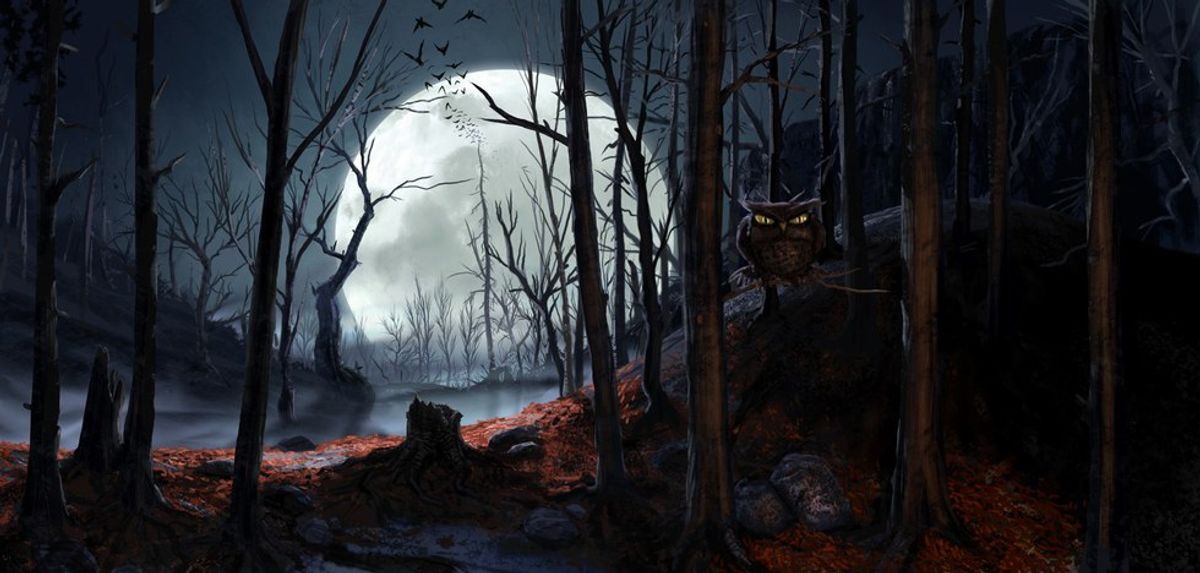 Best Spooky Poems for the Season
