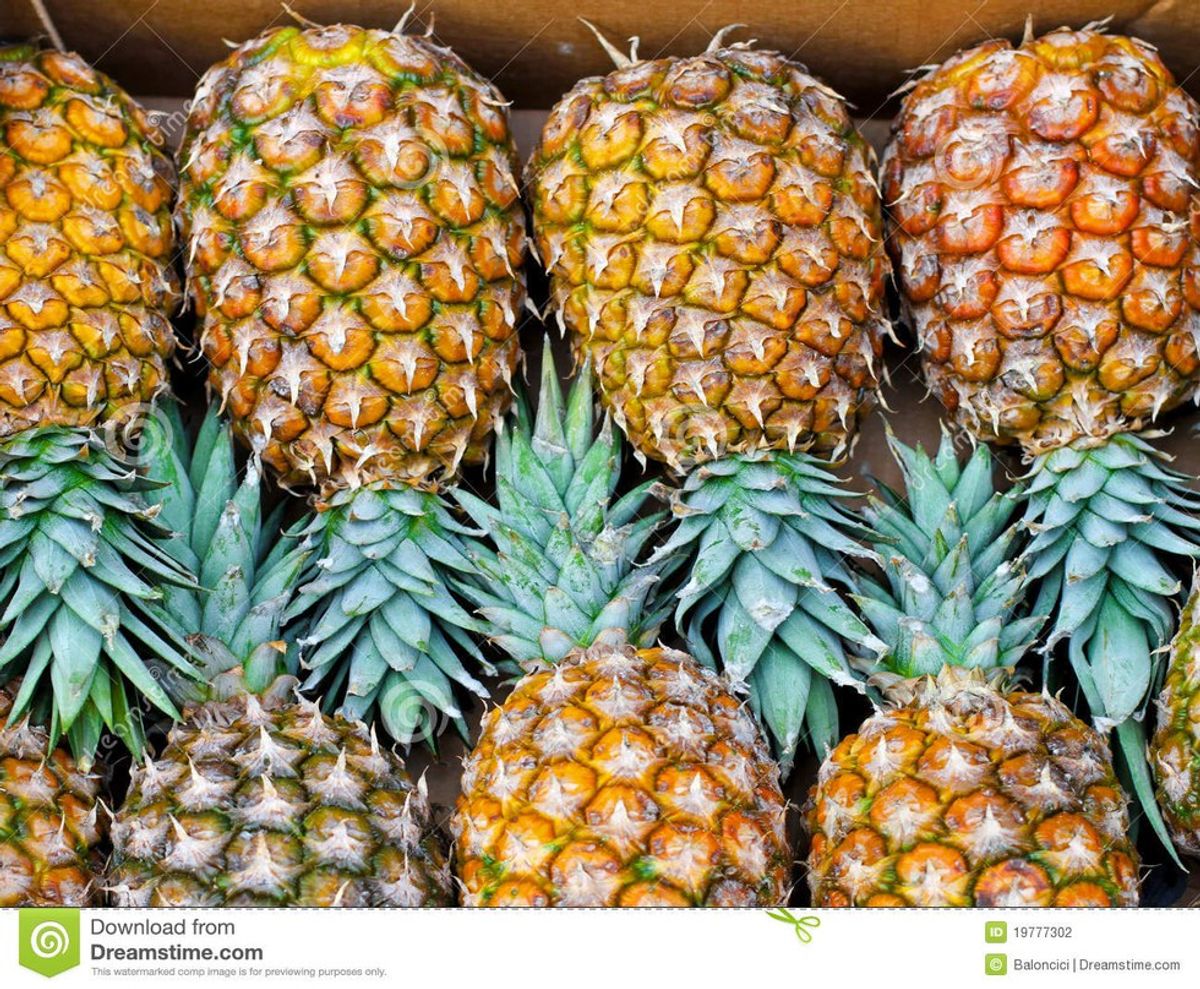 You Need To Know About The Pineapple Philosophy
