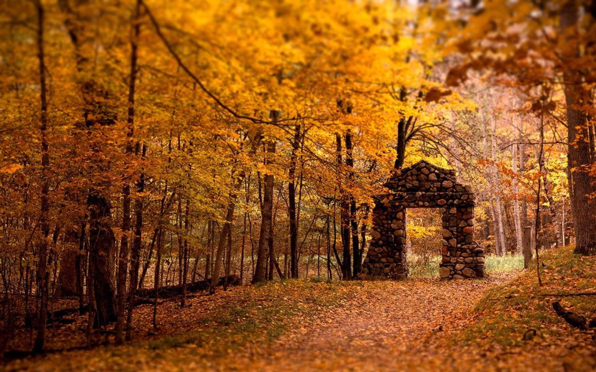 7 Things You Should Do During Fall