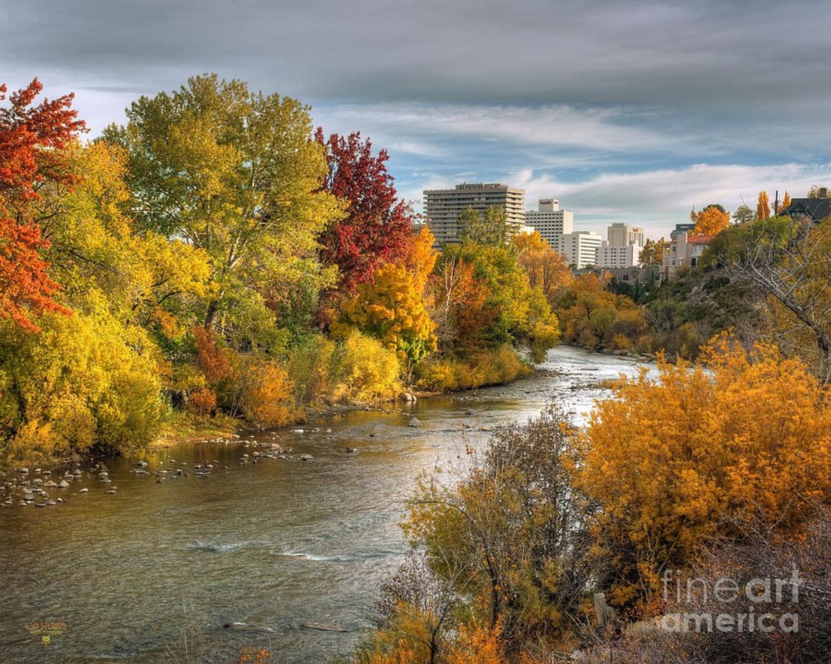 17 Activities To Do In Reno During The Fall Season