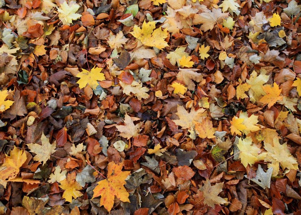31 Reasons To Be Excited About Fall