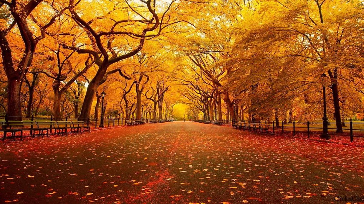 Why Fall Is The Best Season, EVER
