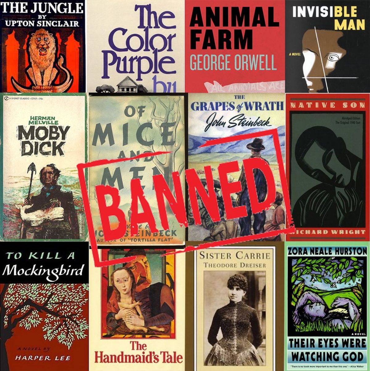In Honor of Banned Books Week 2016, a Reflection