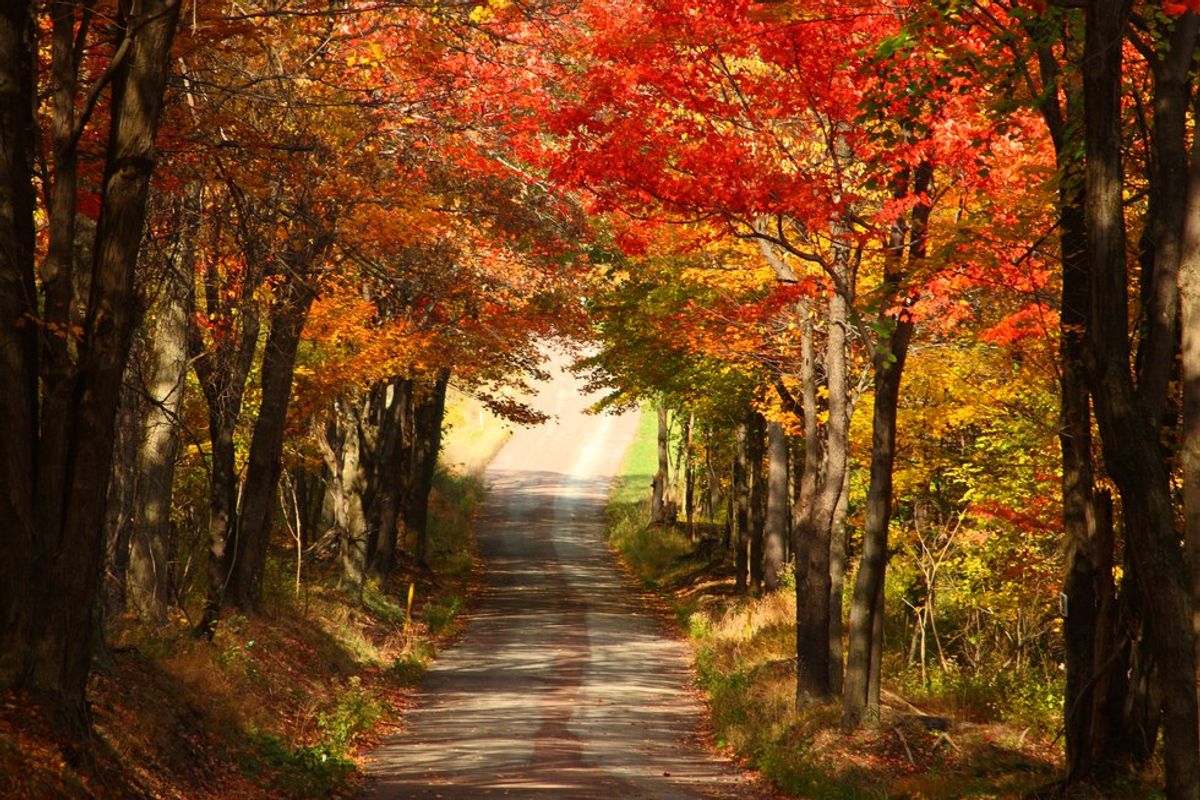 Things to do in New Jersey during Fall.