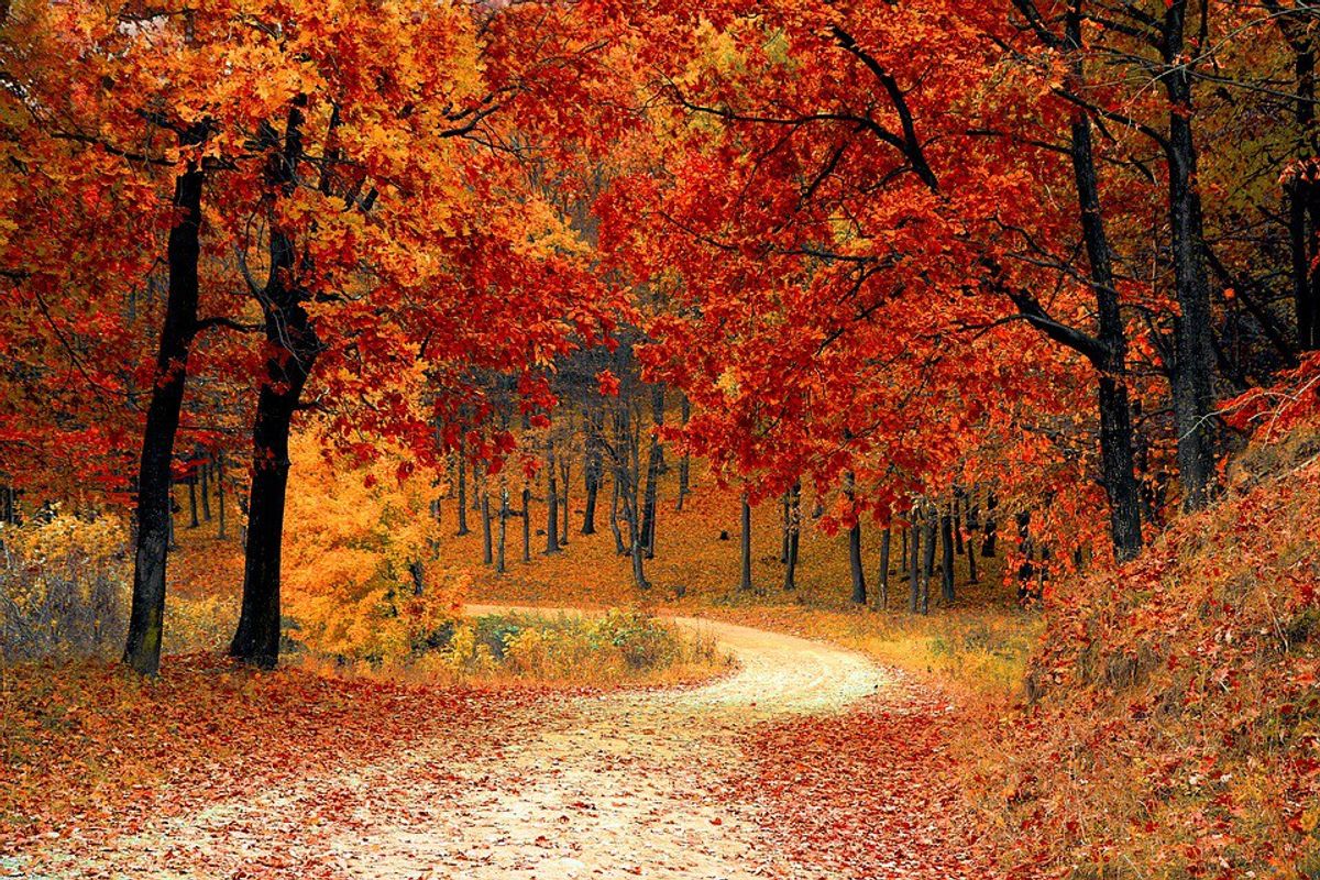 Autumn In A Playlist