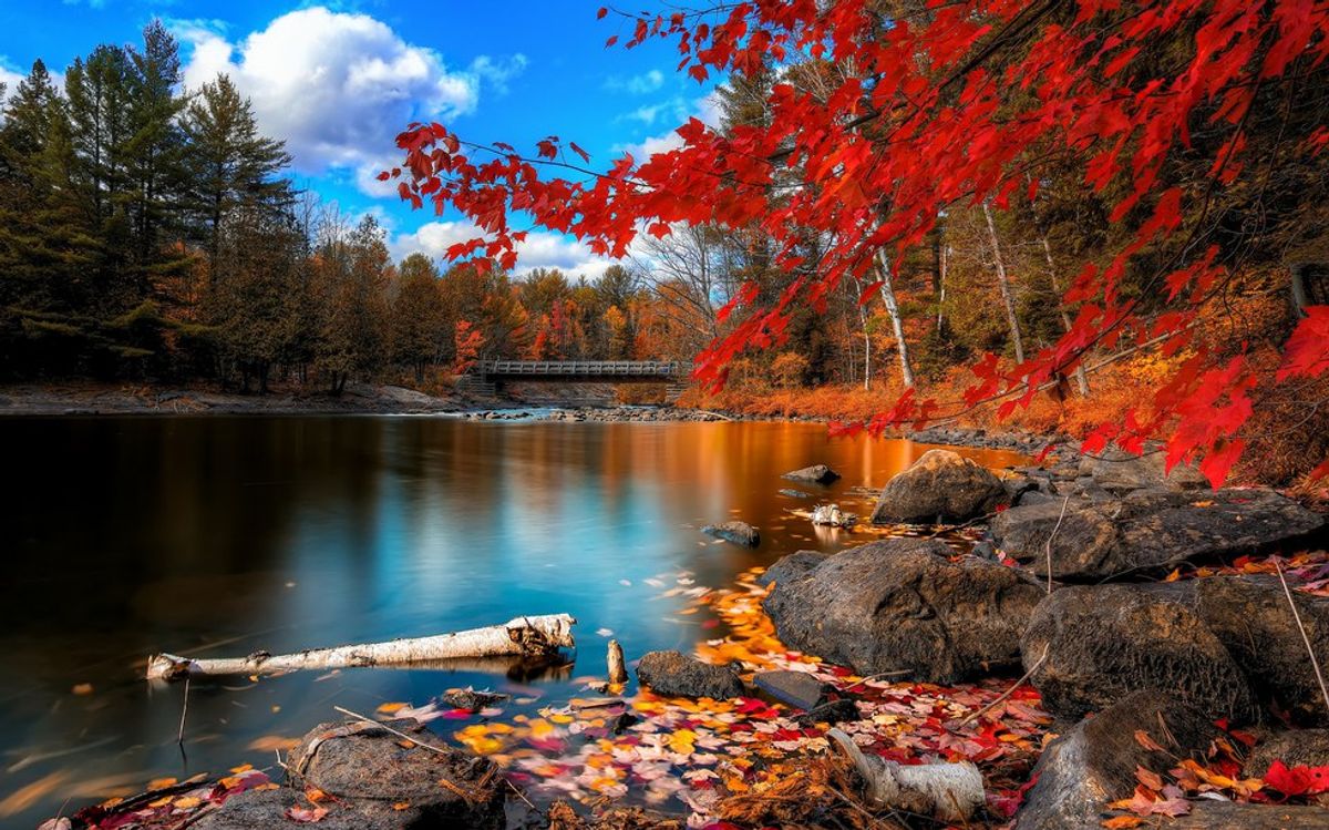 14 Reasons Why Fall Is The Best Season