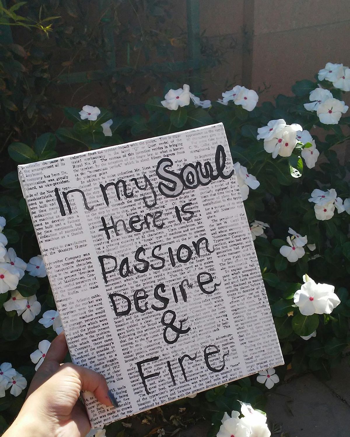 Passion, Desire, And Fire