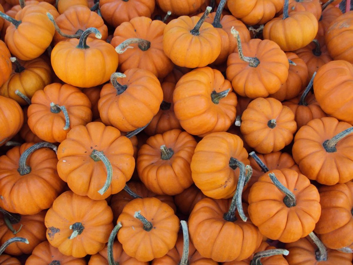 7 Pumpkin-Flavored Items For The Pumpkin Spice Obsessed