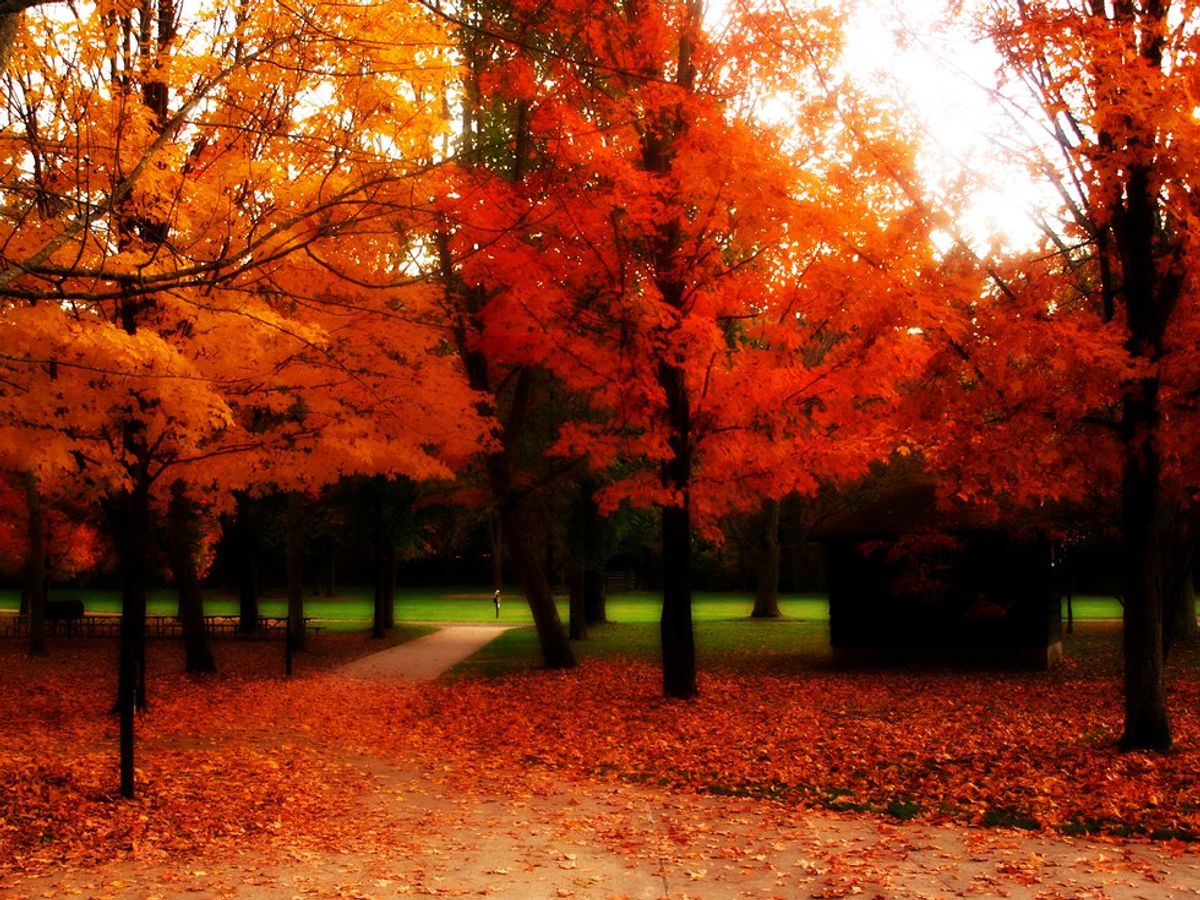 17 Reasons Why Fall Is The Best Season Yet
