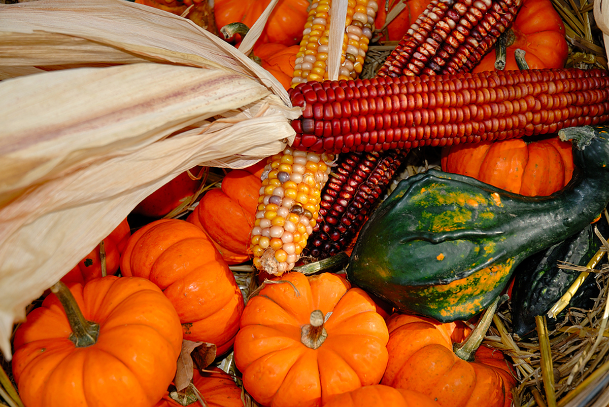 The 11 Best Things About Fall
