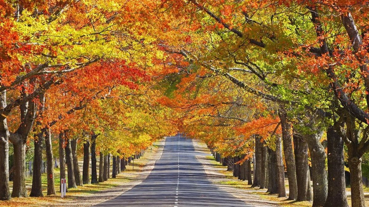 Mother Nature Finally Introduces Fall Season