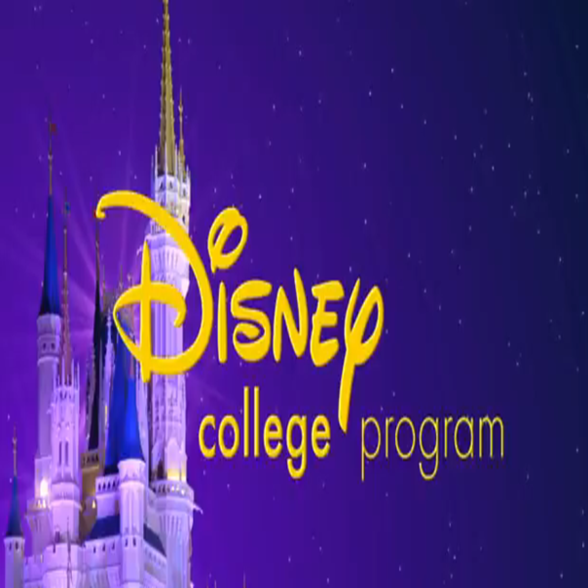 How To Prepare For A Disney College Program Phone Interview