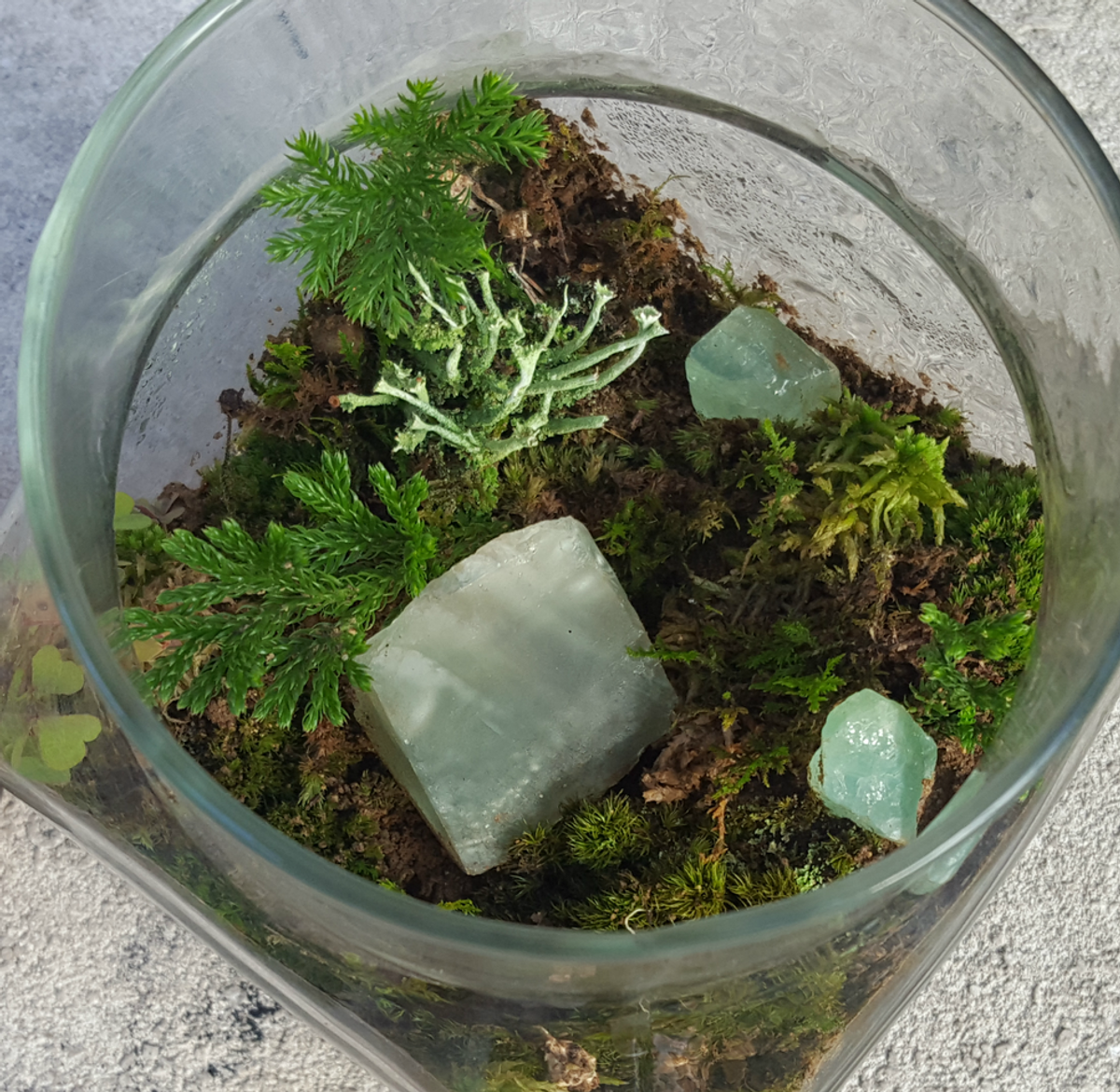 Make Your Own Recyclable Terrarium