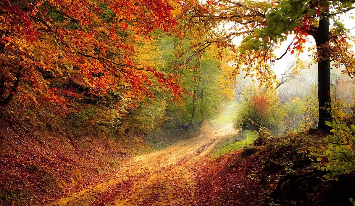 12 Best Things About Fall