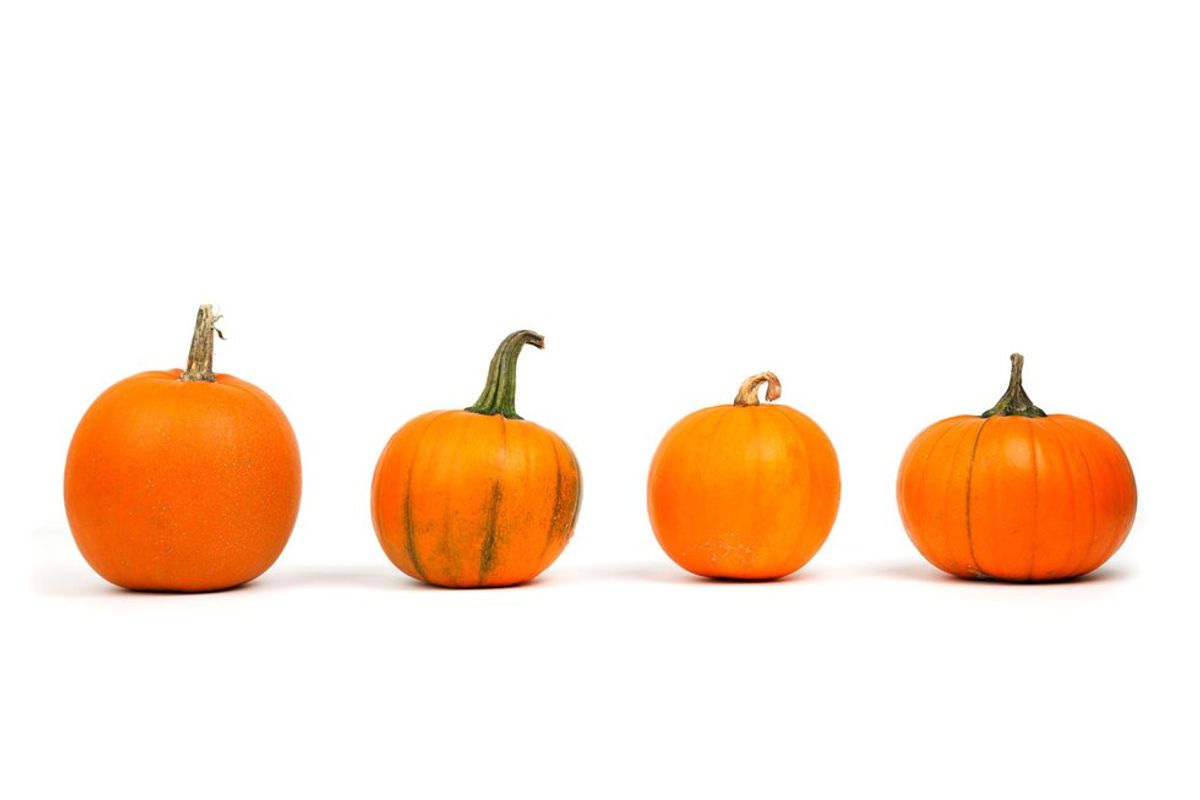 5 Pumpkin Facts To Spark Your Fall Fever