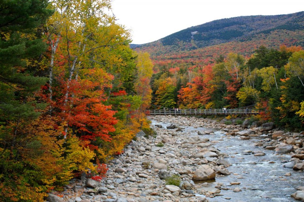 10 Reasons Why Fall Is The Best Season Ever