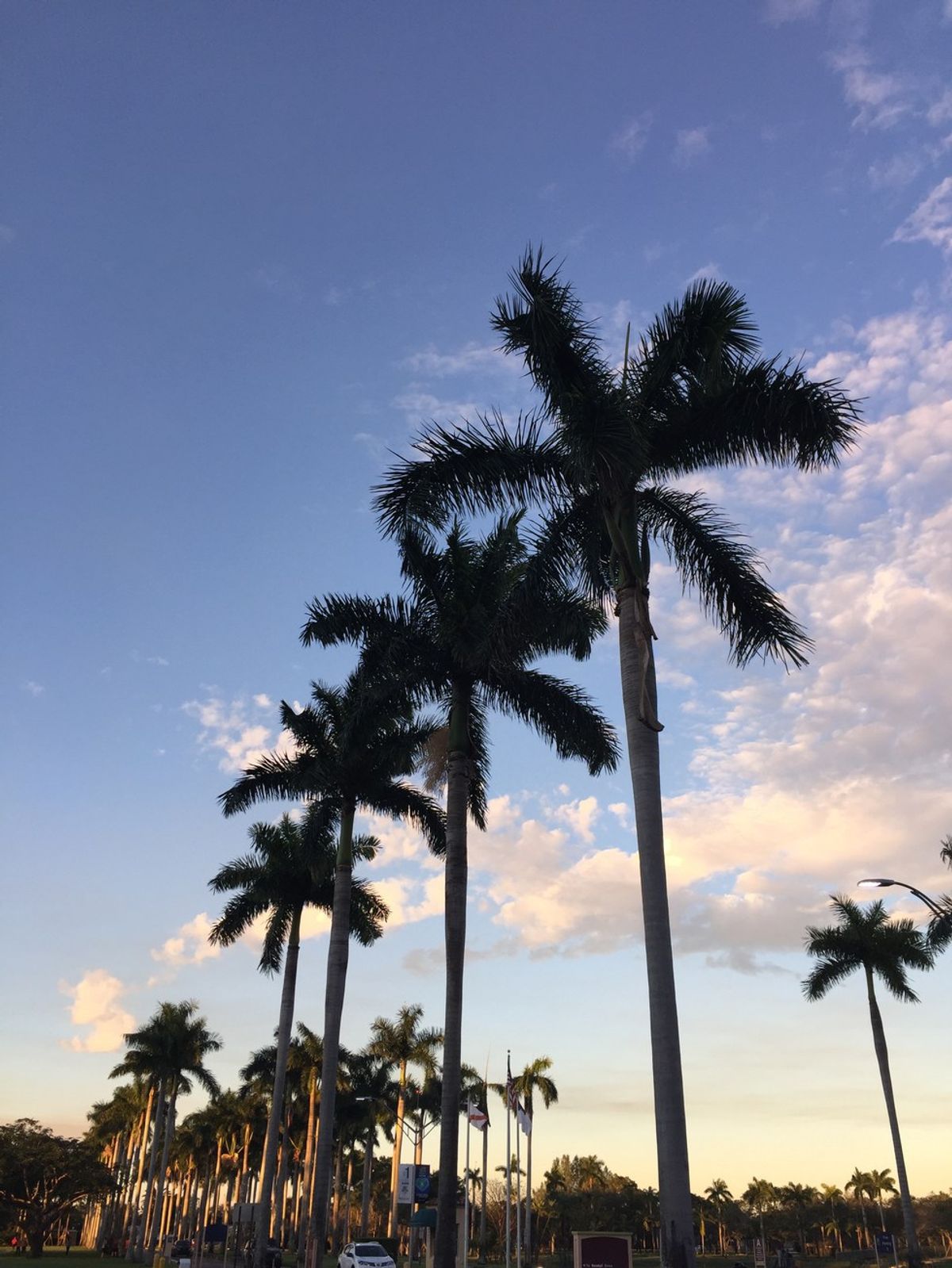 10 Things About Living in Miami