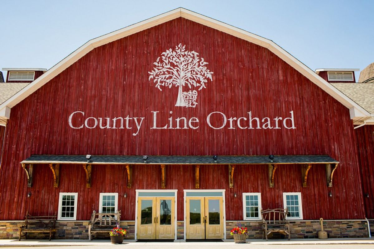 5 Things To Check Out At County Line Orchard
